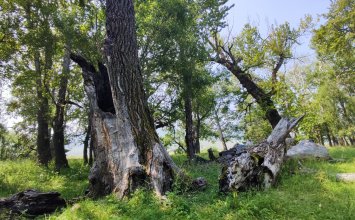 Тур "Байкальская Мелодия" 4 дня3ночи